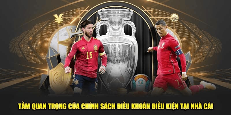 Quy định điều khoản điều kiện khi chơi cá cược